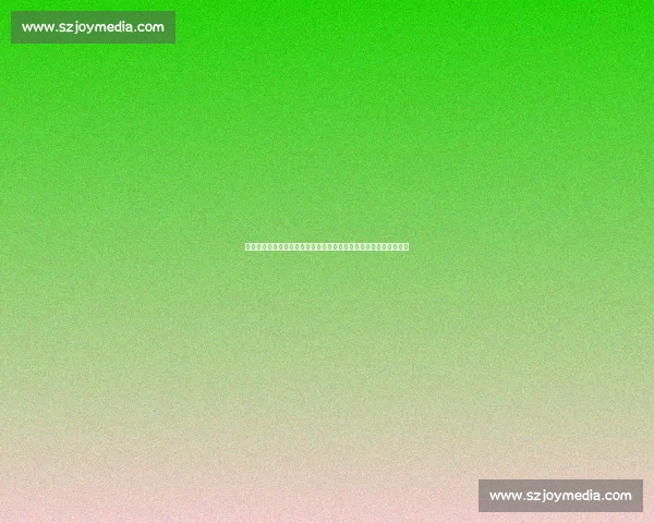 尤文图斯队标背后的历史传承与黑白精神象征解析及俱乐部价值理念