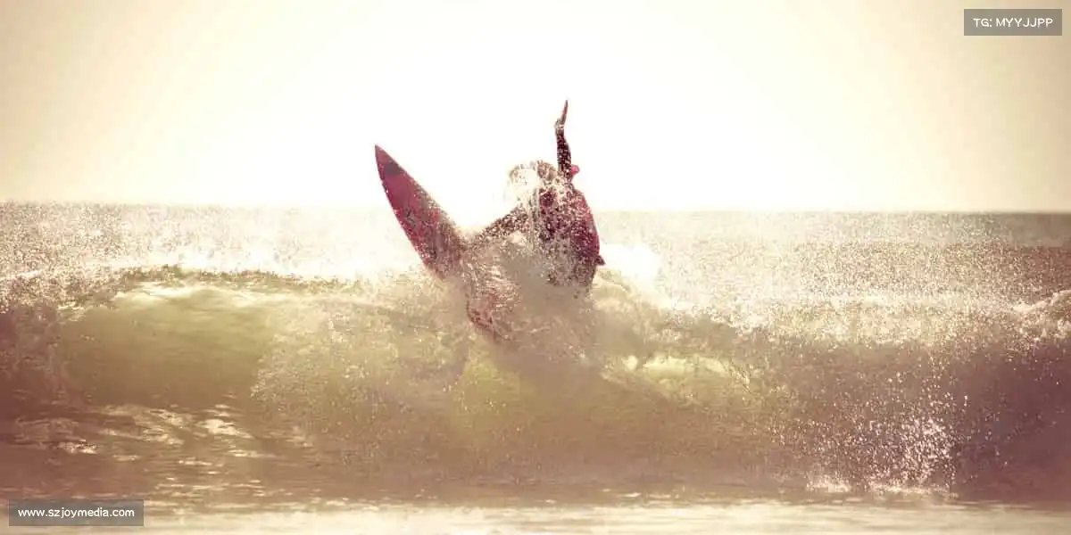 行业领先的理由